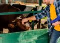 Governo veta integralmente projeto que inclui zootecnistas no piso salarial de engenheiros e veterinários