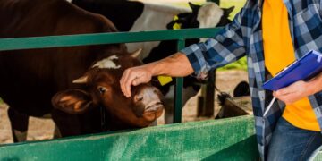 Governo veta integralmente projeto que inclui zootecnistas no piso salarial de engenheiros e veterinários