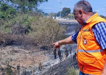 Com avanço do período seco, Defesa Civil reforça alerta contra queimadas em Teresina
