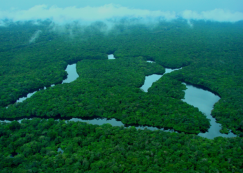 Brasil tem redução dos alertas de desmatamento na Amazônia e no Cerrado