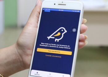 Pardal registra 35 denúncias em todo o Piauí até esta quinta-feira (27)