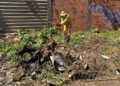 Parque Ideal recebe equipes da Zoonose e SDU no combate ao mosquito da dengue neste sábado (22)