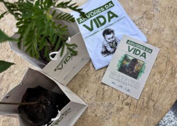 Projeto Árvore da Vida já entregou 552 mudas frutíferas a famílias nas maternidades de Teresina