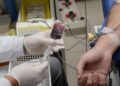 Trote Solidário convida população a doar sangue nesta terça (15) em Teresina