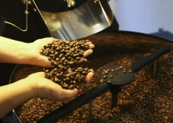 Produção de café deve fechar 2026 com 67,6 milhões de sacas, maior da série histórica