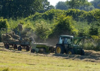 El Niño pode pressionar caixa do agro mesmo com preços em alta