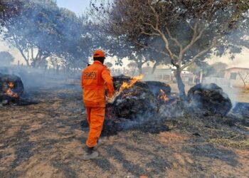Corpo de Bombeiros registra quase 6 mil incêndios no Piauí e intensifica atendimentos em 2026