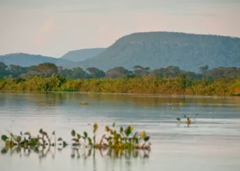 Cerrado brasileiro perdeu 13,9 milhões de hectares de margens de rios