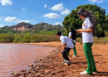 Estudantes da rede estadual do Piauí unem IA e biologia para monitorar polinizadores em Guaribas