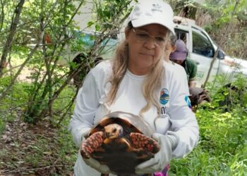 Polícia Ambiental registra 496 ocorrências com animais silvestres em três meses
